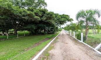 Imagem 3: Porto Alegre - Sítio - Lageado