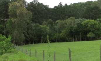 Imagem 4: Porto Alegre - Sítio - Lageado