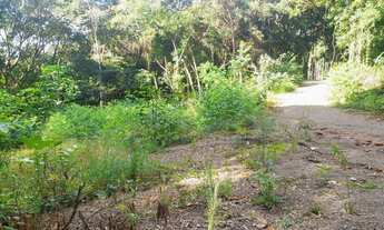 Imagem 3: Chácara arborizada de fácil acesso, localizada em Taquara RS!