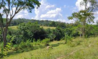 Imagem 7: Oportunidade. Terrenos 20.000m² Terra Boa e Lagoa nos Fundos