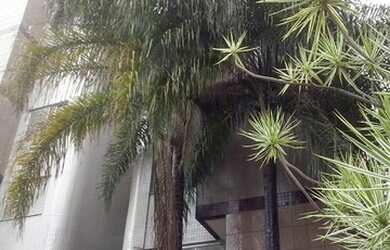 Imagem 6: Belo Horizonte - Apartamento Padrão - Luxemburgo