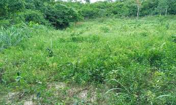 Imagem 2: Terrenos de 20.000 m² com Rio no fundo