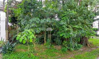 Imagem 4: Vendas Terreno Curitiba PR