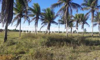 Imagem 4: Terreno Lado Novo Aeroporto Internacional