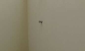 Imagem 6: Casa de condomínio 2 Suítes - 83 M² - 1 Vaga - Piscina Privativa - Novo -Cibratel II - Ita