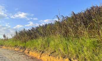 Imagem 2: Terrenos próximo a Guararema