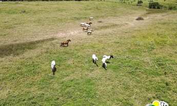 Imagem 2: Farm for Sale in Marcionilio Souza - Bahia | The banks of the Paraguaçu River