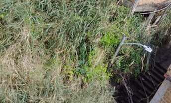 Imagem 3: Terreno Residencial ,Amparo do Tororo