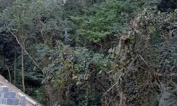 Imagem 4: Terreno 5 x 25 Caieiras/SP preço excelente aceita permuta até 30 mil