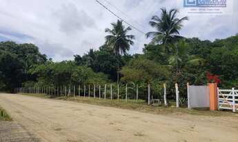 Imagem 4: Ilhéus - Fazenda - Iguape