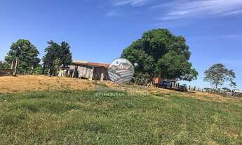 Imagem 7: Jaru - Sítio - 22 alqueires