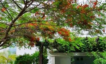 Imagem 2: Casa para venda com 350 metros quadrados com 4 quartos...