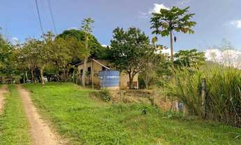 Imagem 7: Sítio com plantação para venda