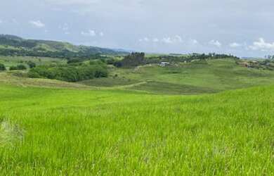 Imagem 5: 5.000m² de terra por apenas 70mil à vista