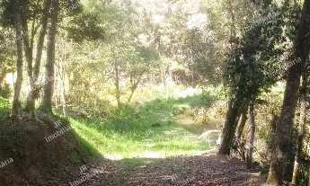 Imagem 6: Excelente Chácara Sem Benfeitorias