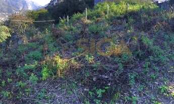 Imagem 6: Lote em condomínio de alto padrão no Cônego - Nova Friburgo