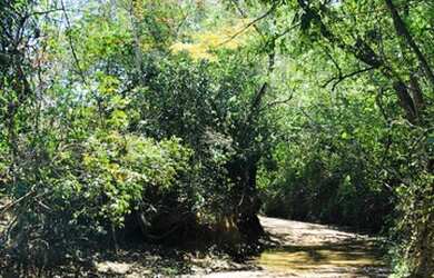 Imagem 3: Ótima Oportunidade em Cordisburgo - Chácaras de 20.000 (2 hectares