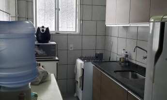 Imagem 4: Apartamento 3 dormitórios para venda em Areias - São José - SC