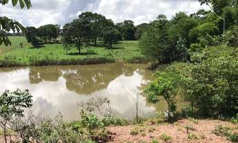 Imagem 6: Chácara 2 alqueires Município de Bela Vista Goias