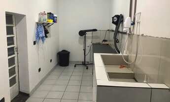 Imagem 3: SALÃO COMERCIAL COM 40M2 NO JARDIM DAS FLORES