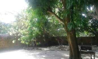 Imagem 2: CHACARA RESIDENCIAL em SÃO LUÍS - MA, ESTIVA