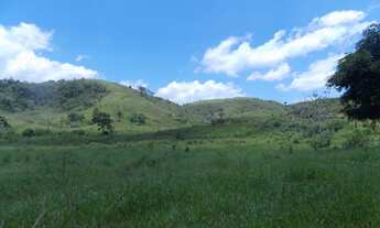 Imagem 4: FAZENDA ÀS MARGENS DA BR 393 - VASSOURAS - 23,8 ALQ. MINEIROS