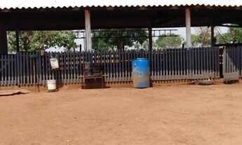 Imagem 6: Vendo Linda e confortável chácara 4.2 hectares à 8 Km da ucdb Campo Grande MS