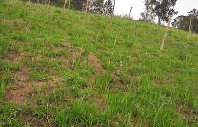 Imagem 2: Vende-se Terreno em Mailasqui