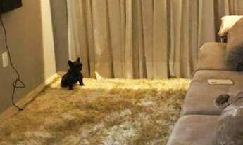 Imagem 7: Casa no Portal do Sol 225m²