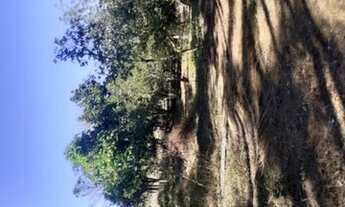 Imagem 4: Chácara com 27 alqueires próximo ao Balneário Rio Preto