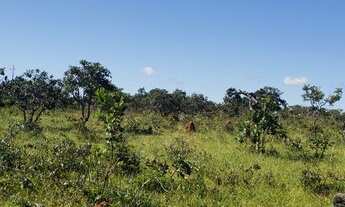 Imagem: Fazenda/Sítio/Chácara para venda possui