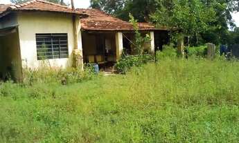 Imagem: CHÁCARA COXIM PRÓX AO RIO TAQUARI