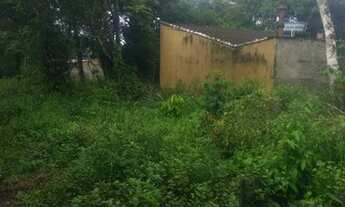 Imagem 5: Terreno litoral sul itanhaem