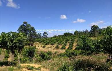 Imagem 6: Área no Xuri com 43.000 (quarenta e três mil metros) a 100 metros da 388 e a 25km do centr