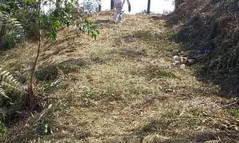 Imagem 5: TERRENO 1988M² TOPOGR VARIADAS E SUAVE, CABE QQR PROJETO, 3KM DO ASFALTO, 15 MIN DO CENTRO