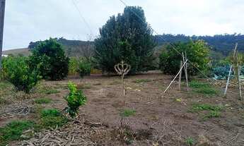 Imagem 4: Alfredo Wagner - Sítio - interior