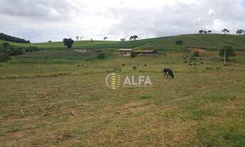 Imagem 3: Fazenda à venda, 532400 m² por R$ 3.500.000 - Recanto da Serra - Estiva/MG
