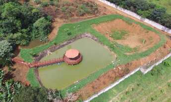 Imagem 6: Fazenda - Anápolis (GO