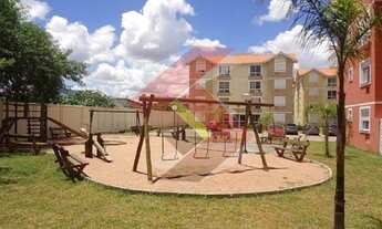 Imagem 6: CANOAS - Padrão - Mato Grande