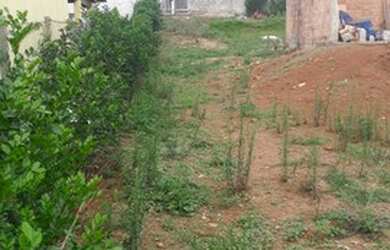 Imagem 5: Chácara localizado na região de Farofa a 1km do centro em São Joaquim de Bicas