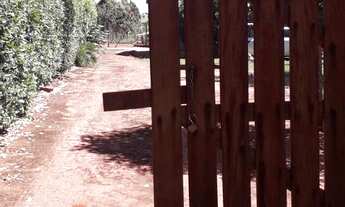 Imagem 2: Vendo Chácara com casa de 3 quartos piscina e arvores frutíferas em Nova Veneza