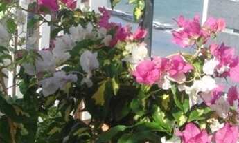 Imagem 6: Cobertura Triplex - Oportunidade !!!