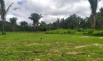 Imagem 5: Fazenda/Sítio/Chácara para venda possui 60000 metros quadrados com 3 quartos