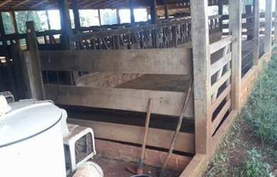 Imagem 4: 3,13 Alqueires Paulista