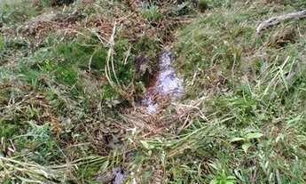 Imagem 5: CHACARA ROSEIRA 10 MIL METROS COM NASCENTE