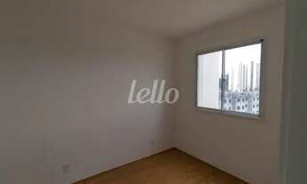 Imagem 7: São Paulo - Apartamento Padrão - São Lucas