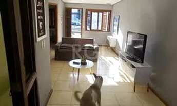 Imagem 3: Casa para Venda - 230m², 4 dormitórios, sendo 1 suites, 2 vagas - Aberta dos Morros/ Altos