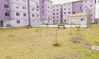 Imagem 7: Apartamento Padrão em Pelotas