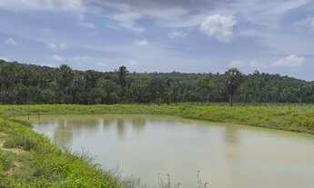 Imagem: Fazenda em Vargem Grande-Ma