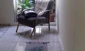 Imagem 6: Vendo Casa com 2 dormitórios